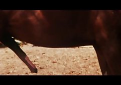 MILF هلندی بهترین رابطه جنسی را می شناسد کانال تلگرام سکسی فیلتر نشده